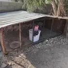 صندقة دجاج او حمام المقاس 3 2