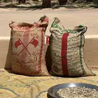 يسر لبان العربي