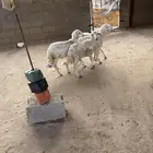 ثلوث المنظر