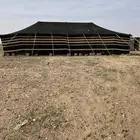 بيت شعر آصلي 12x6 نظيف 3عامود