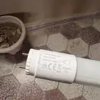 لمبات انارة نجف اسباني