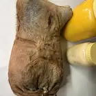 سمن وزبده للبيع