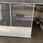صندقة حمام