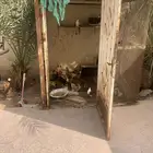 شبك دجاج 2 متر في 2متر شغل حداد