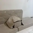 كنب ارضي