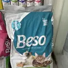 اكل قطط