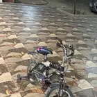 درجة رامبو تقليدي