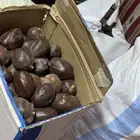 بوجد دوم للببع