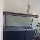 حوض سمك