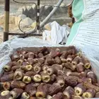 تمر