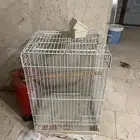 قفص ببغاء