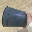 أصيص زراعه