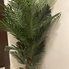 عرض اثاث