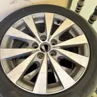 جنطين افالون 2012