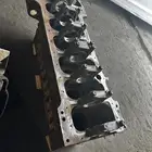 سرندل للبيع ودنقل للبيع بوز