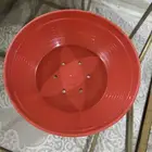 بياضه للحمام