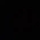 دجاج براهما بوف