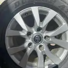 جنوط وكاله اصليه للبيع