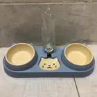 صحن لطعام القطط