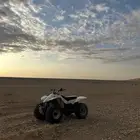 دباب سوزوكي 50 للبيع