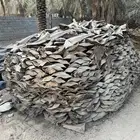 كرب