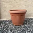 احواض زراعه