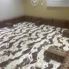 مساند