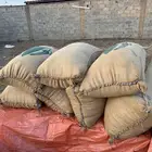 حب جيزاني احمر للبيع