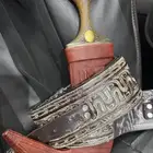 جنبية زراف للبيع