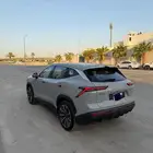 جيتور داشينج 2024