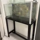 حوض سمك