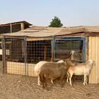 غنم رفيديه دفيع