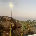 خلاص كبار بتمره