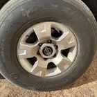 جنوط فتك للبيع