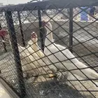القنفدة القوز