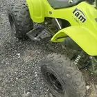 دباب