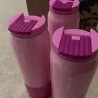 ستاربكس مق الوردي