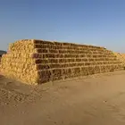 للبيع تبن بر قمح