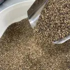سمسم حساوي