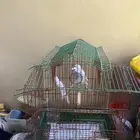 للبيع