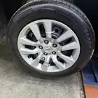 للبيع جنوط التيما