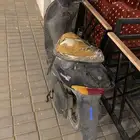 دباب سزوكي بطه