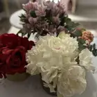 البحث مسوقة احترافية عبر السوشل ميديا (توظيف)