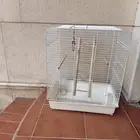 قفص عصفور كبير انت اختر السعر بس لا تبخص