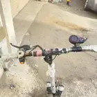 افضل حالة سكوتر2024