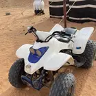 دباب