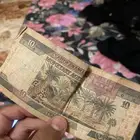فلوس