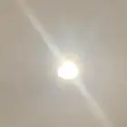 رخصة قمح 425