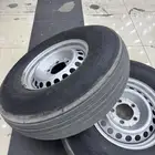 بوالين هنديه و جنوط هلل كوبي