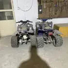 دبابين صينيات للبيع